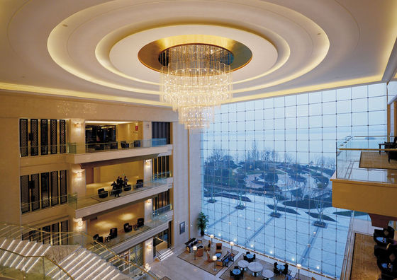 OEM ODM Creative Art Pendant Light สําหรับสถานที่ระดับสูง